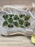 Monstera Green Leaves UV DTF 16oz Cup Wrap