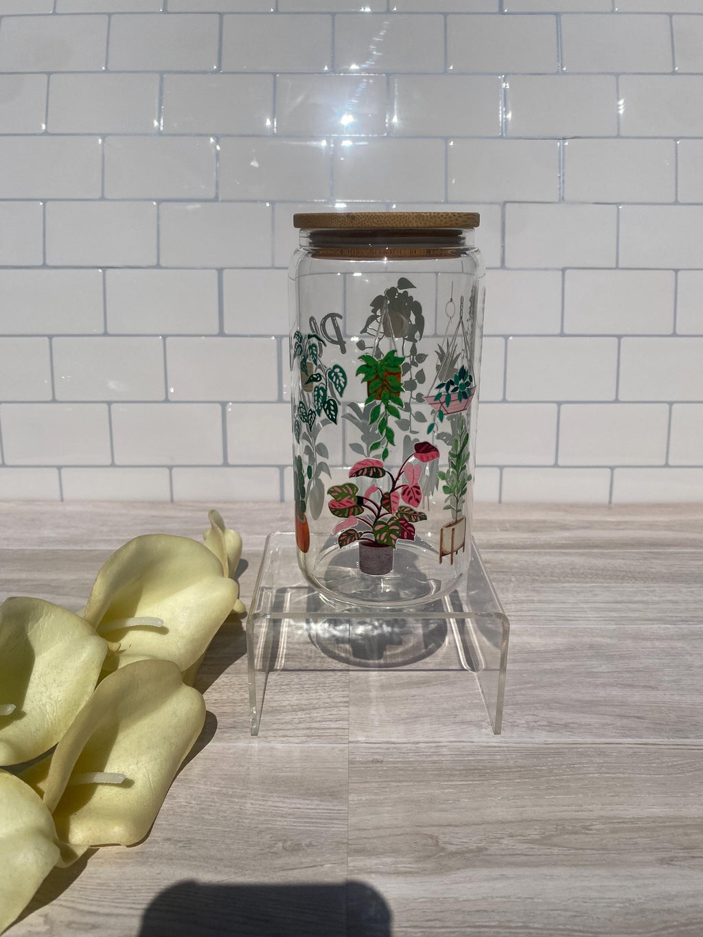 Plant Lady - 16 ounce beer can glass