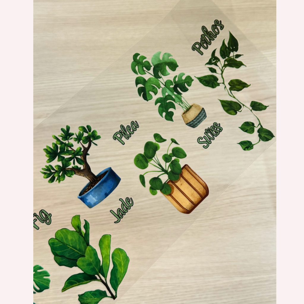 Custom Plant Lover UVDTF Wrap – Botanical Name Wrap for Cups
