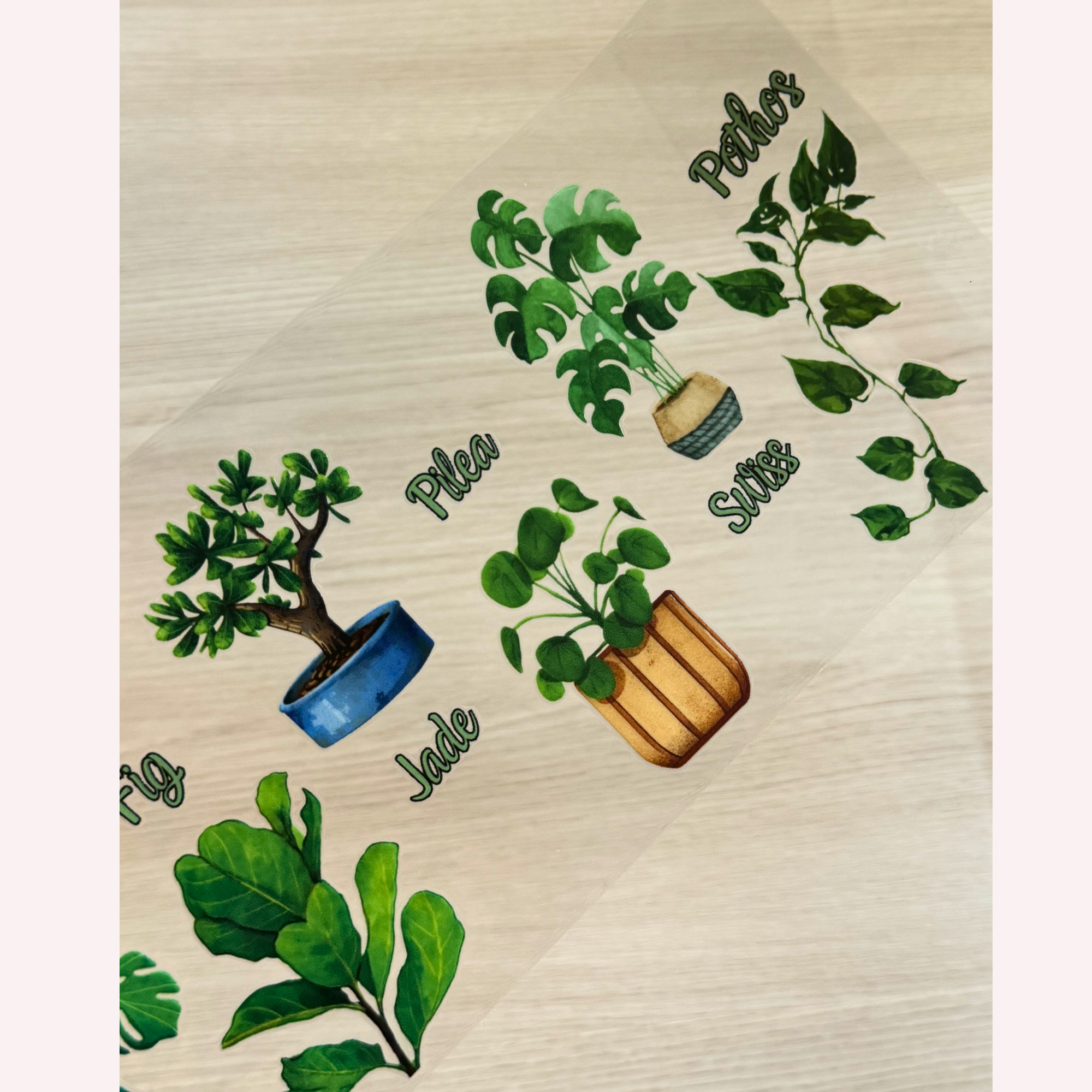Custom Plant Lover UVDTF Wrap – Botanical Name Wrap for Cups