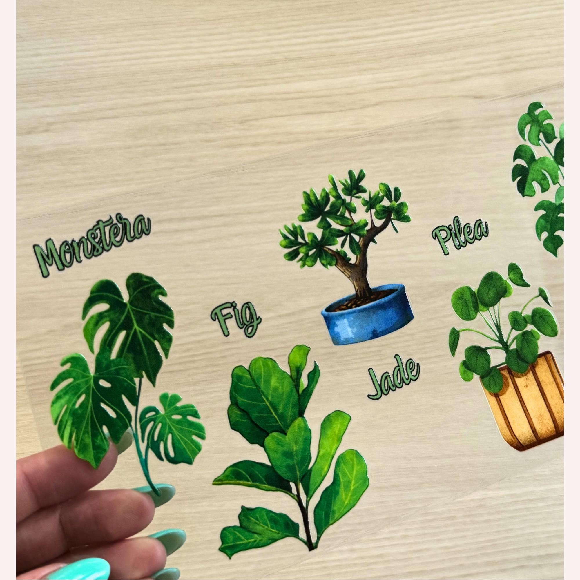 Custom Plant Lover UVDTF Wrap – Botanical Name Wrap for Cups