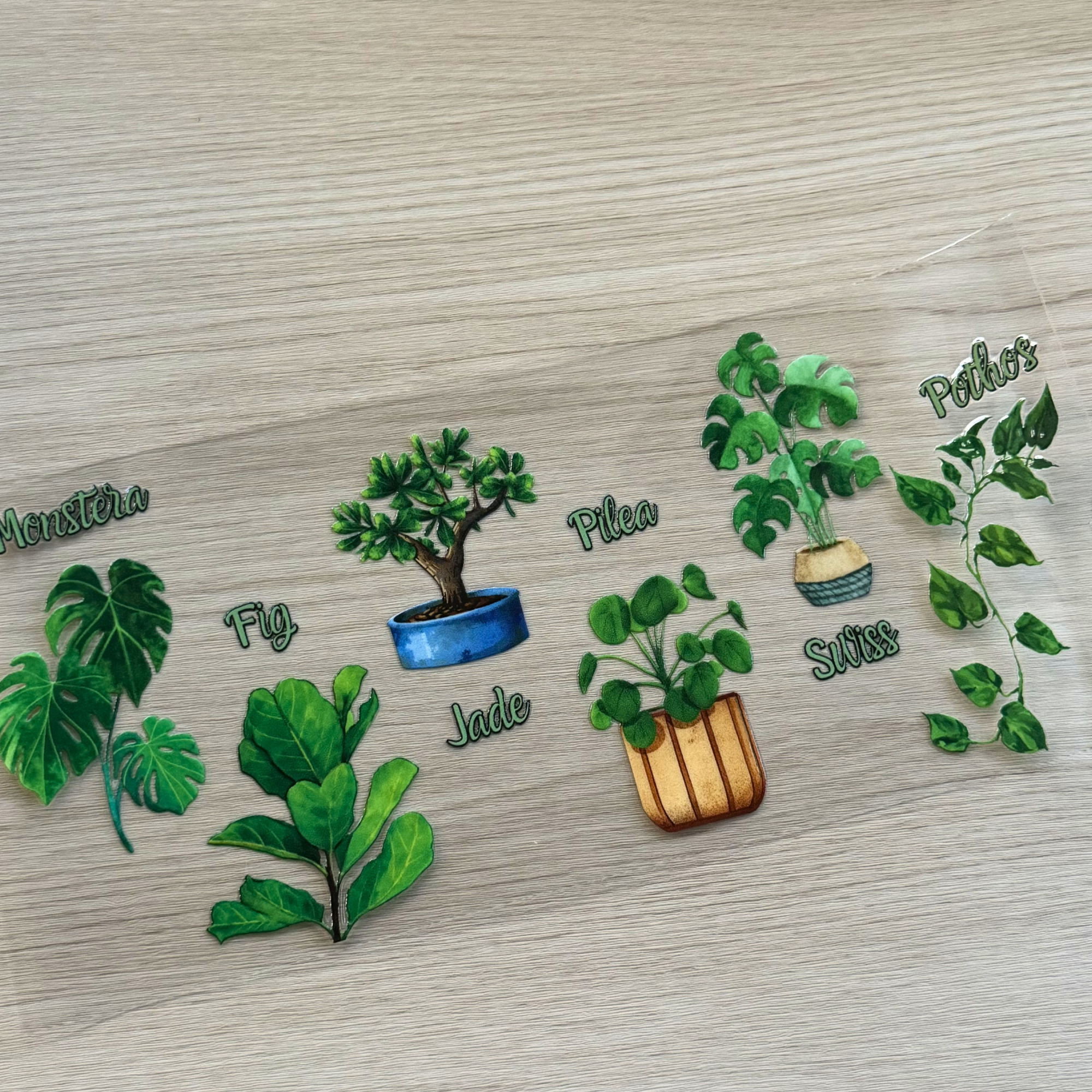 Custom Plant Lover UVDTF Wrap – Botanical Name Wrap for Cups