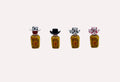 Bachelorette Cowboy Drink Hats: Mini Liquor Bottle Decor